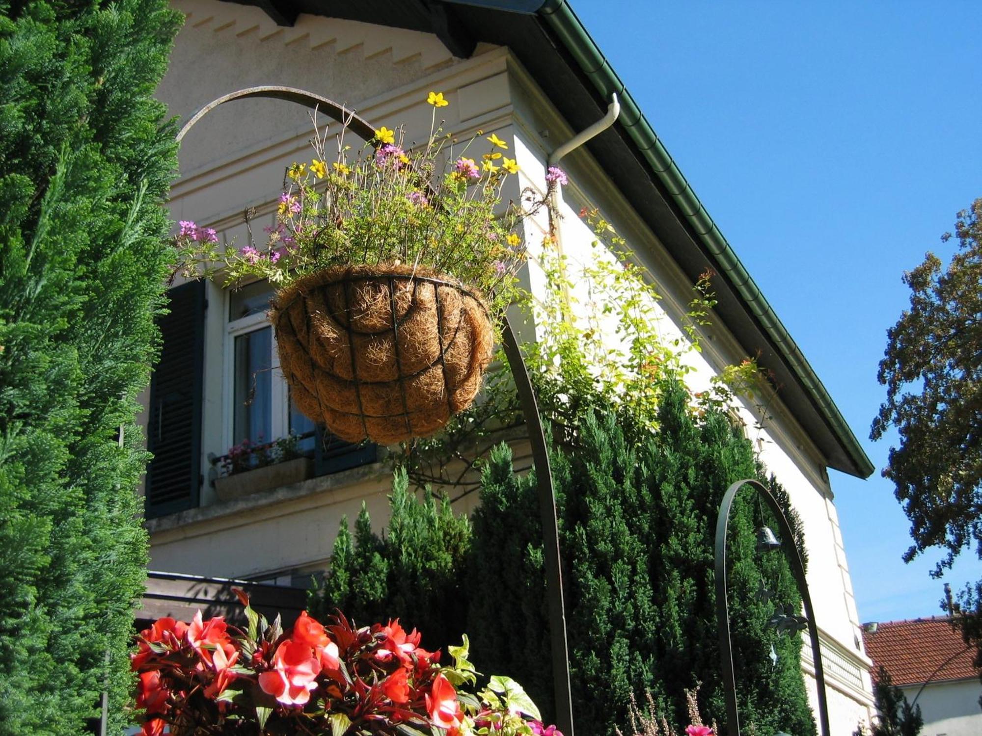 Hôtel Relais d'Aumale Orry-La-Ville Exterior foto